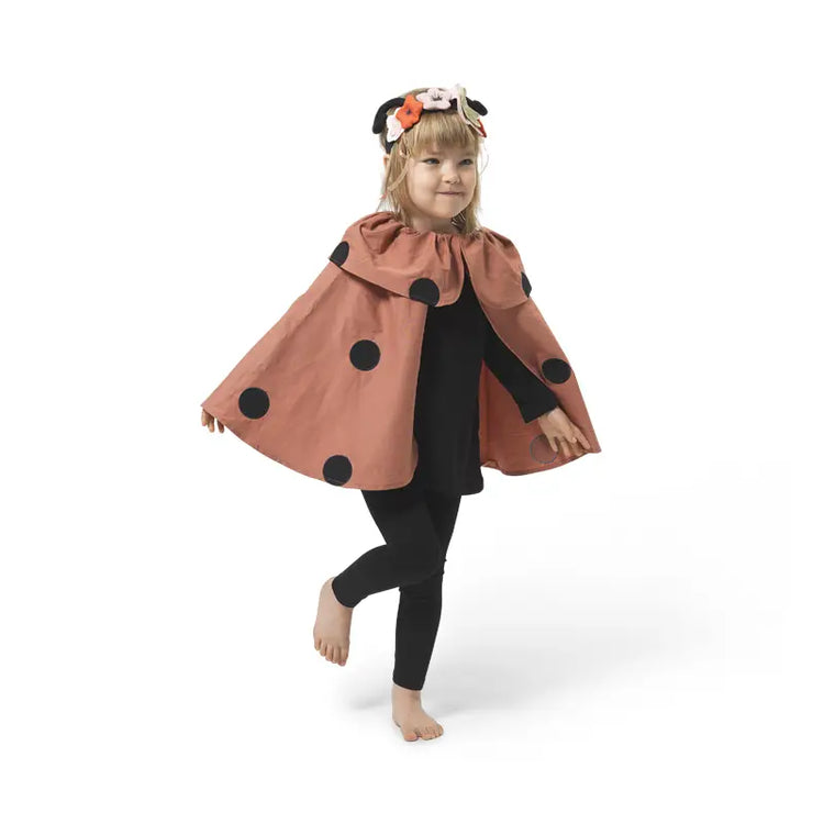 Lady Bug Dress-up Set