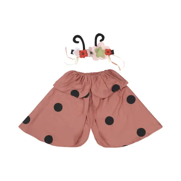 Lady Bug Dress-up Set