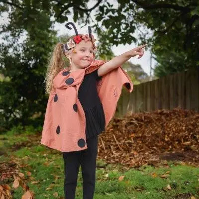 Lady Bug Dress-up Set